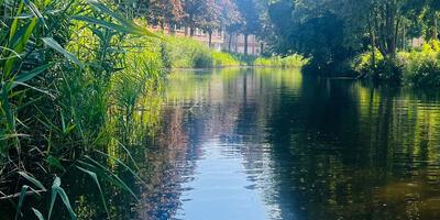 zicht op St Gummarus